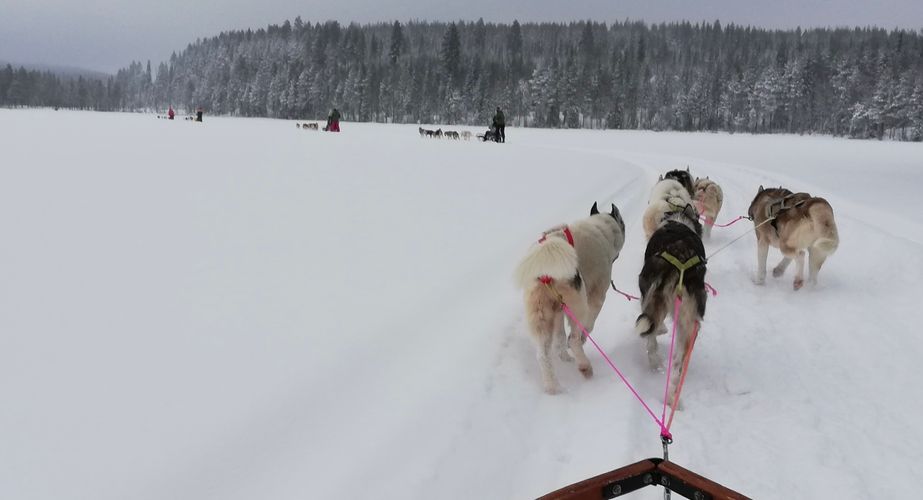 29 38 Lapland 37 29 38 Lapland 37